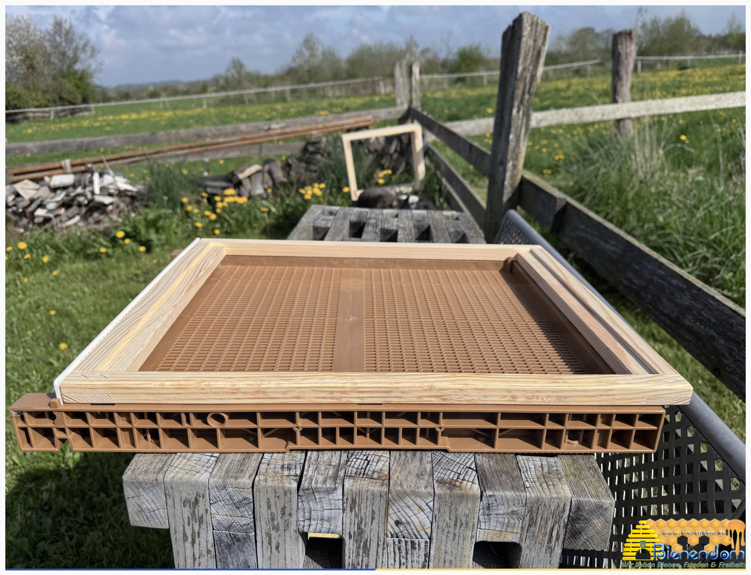 Adapterrahmen Nicot® Boden - Liebig Zander Zarge | Holz