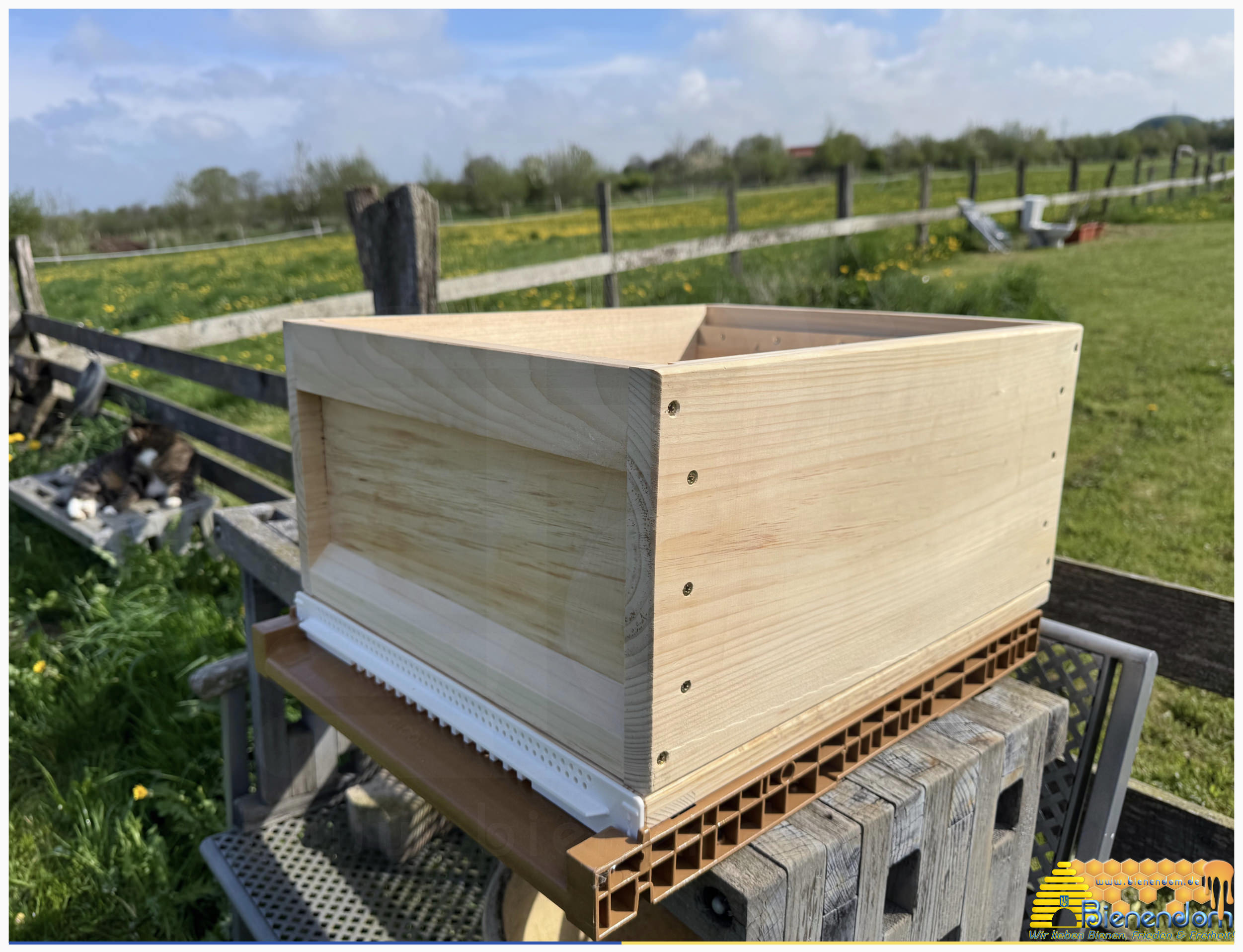 Adapterrahmen Nicot® Boden - Liebig Zander Zarge | Holz