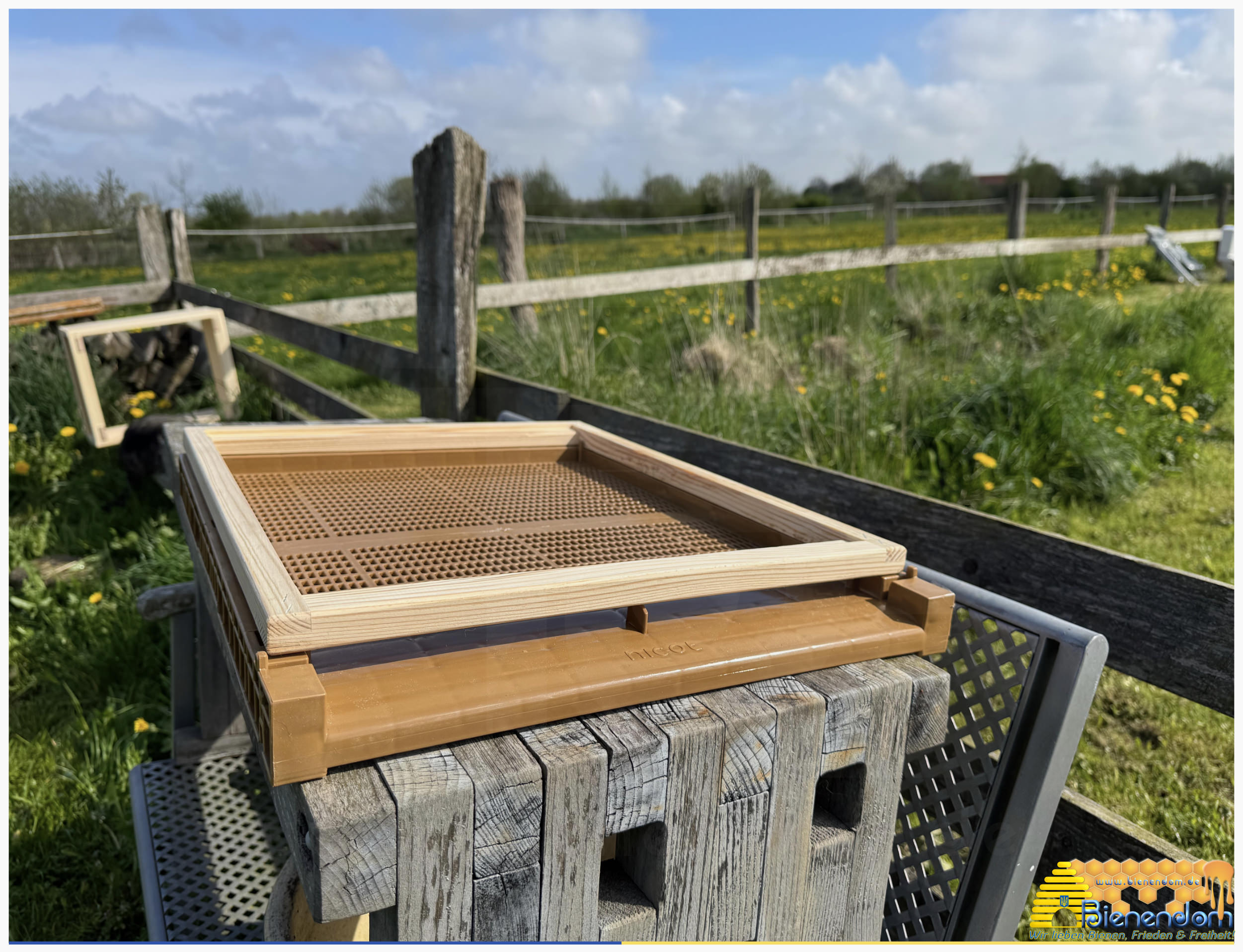 Adapterrahmen Nicot® Boden - Liebig Zander Zarge | Holz